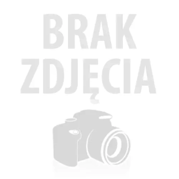 Nr N002<br />Nagrobek nowoczesny<br />Granit: Viscont White<br />Wymiar: 290x150 cm